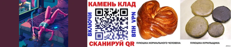 что такое наркотик  Ершов  ГАШИШ индика сатива 