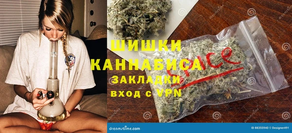 PSILOCYBIN Волосово