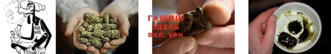 спайс Волоколамск