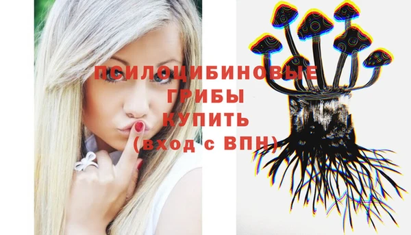 PSILOCYBIN Волосово