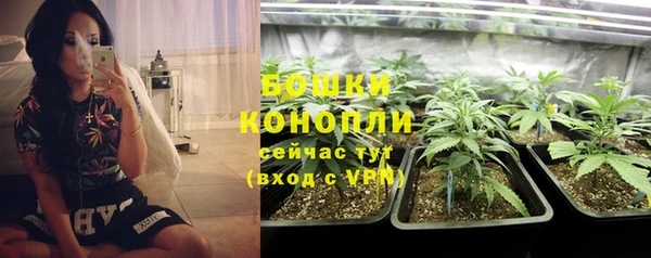 альфа пвп Туринск