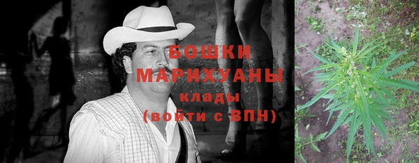 гидропоника Горнозаводск